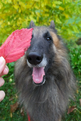 ...